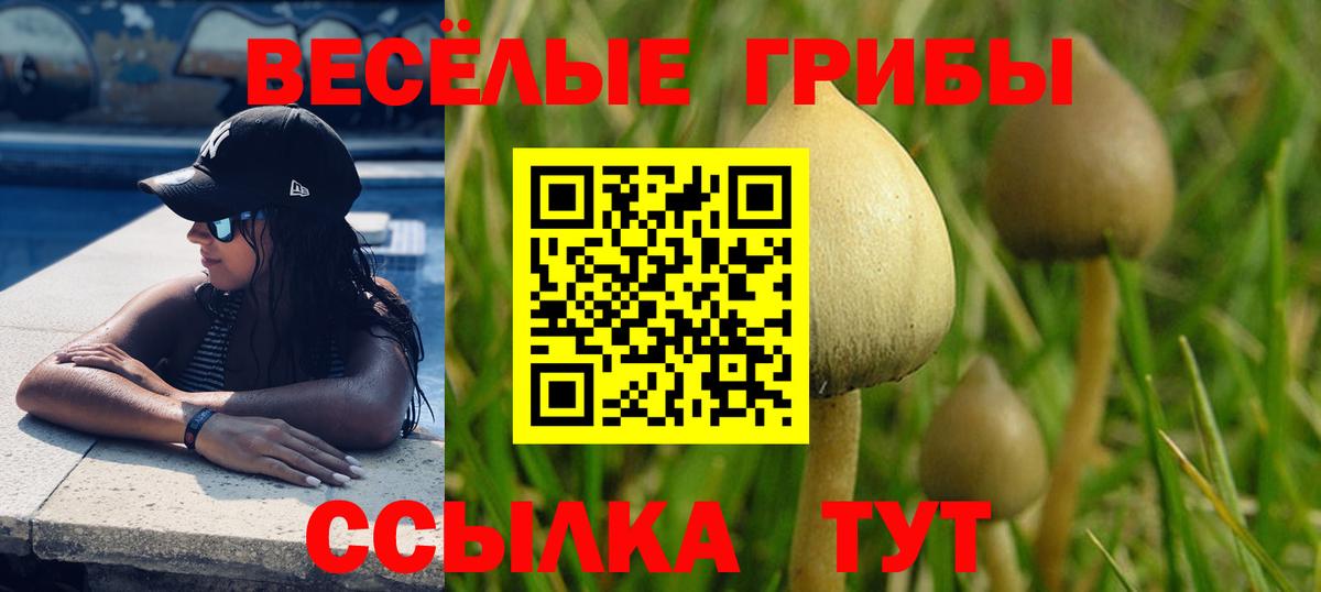 Карпинск  Галлюциногенные грибы Magic Shrooms  Вход с VPN 